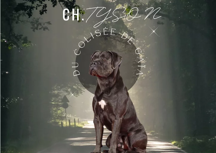 Tyson