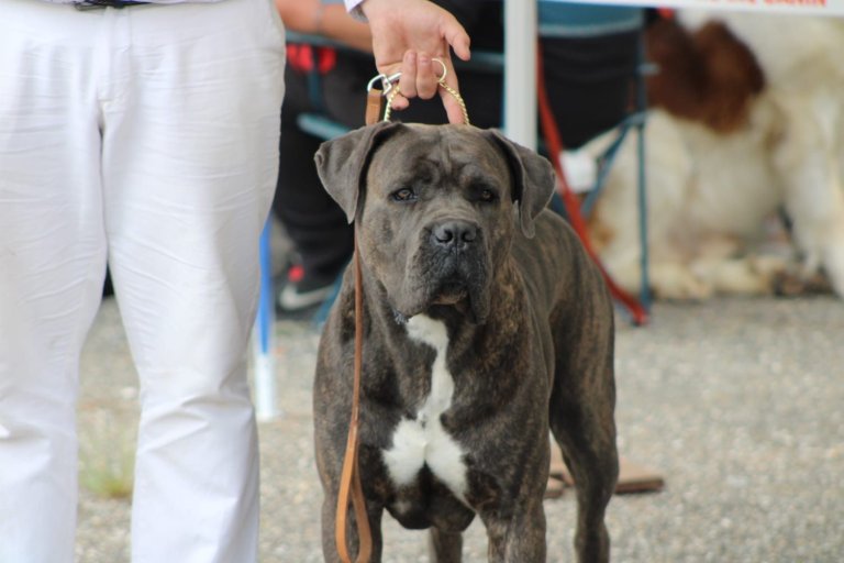 Tiberius